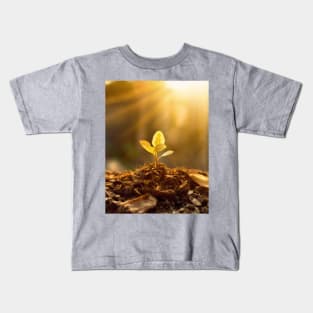 tree sapling in morning light Kids T-Shirt